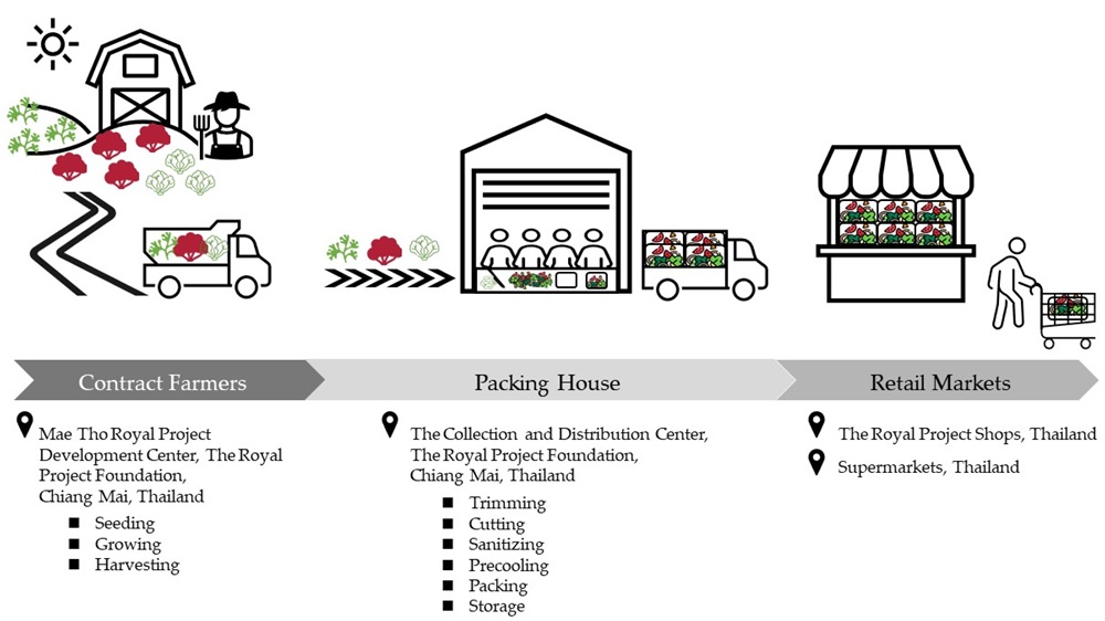 Extending Fresh-Cut Vegetables' Shelf Life with Vacuum Precooling and MAP.jpg